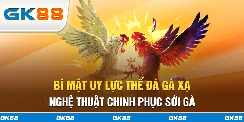Bí Mật Uy Lực Thế Đá Gà Xạ | Nghệ Thuật Chinh Phục Sới Gà