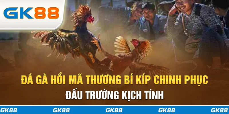 Đá gà hồi mã thương
