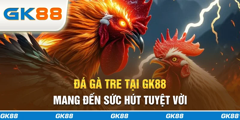 Đá gà tre tại GK88 mang đến sức hút tuyệt vời