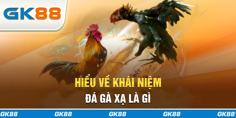 Hiểu về khái niệm đá gà xạ là gì