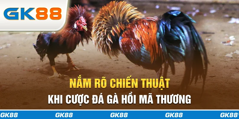 Nắm rõ chiến thuật khi cược đá gà hồi mã thương